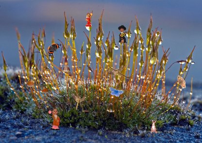 BEAMINSTER: Altered images catch judge's eye