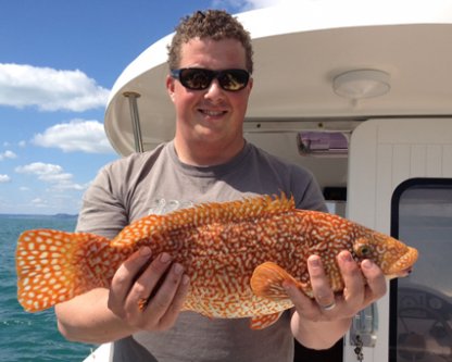 WEST BAY SEA ANGLING: Boat matches finally underway